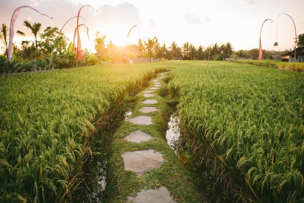 The Runik Ubud Εξωτερικό φωτογραφία